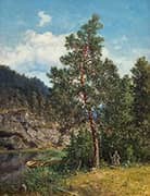 From Nordmarka By Morten Muller