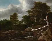 Forest Scene c1655 By Jacob van Ruisdael