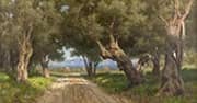The Olive Grove By Francesco Lojacono