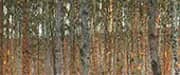 Beech Forest Landscape By Gustav Klimt