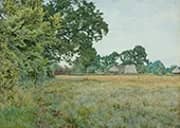 A Hayfield Bedfordshire By William Fraser Garden