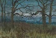 A Spinney in December 1882 By William Fraser Garden