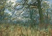 Trees and Undergrowth 1885 By William Fraser Garden