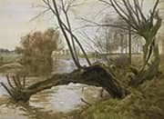 Willows on the Ouse By William Fraser Garden