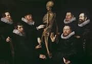 The Osteology Lesson of Dr Sebastiaen Egbertsz 1619 By Nicolaes Eliasz Pickenoy