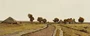 Dutch Landscape with Farmsteads 1877 By Rudolf Ribarz