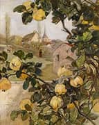 Quince Branch By Rudolf Ribarz