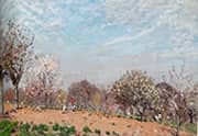 Apple Trees in Bloom in Louveciennes 1873 By Alfred Sisley