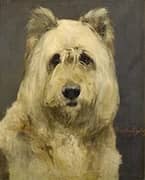 Portrait of a Dog By Charles van den Eycken