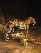 Two Leopards Lying in the Exeter 1808 By Jacques-Laurent Agasse