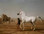 The Wellesley Grey Arabian Led Through the Desert 1810 By Jacques-Laurent Agasse