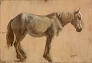 Study of a Grey Horse 1800 By Jacques-Laurent Agasse