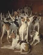 Hounds in a Kennel By Jacques-Laurent Agasse