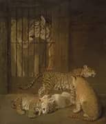Group of Whelps Bred between a Lion and a Tigress 1825 By Jacques-Laurent Agasse