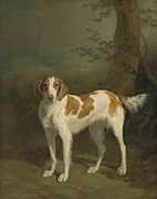 Dash a Setter in a Wooded Landscape 1816 By Jacques-Laurent Agasse