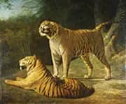 A Tiger and Tigress at the Exeter 1808 By Jacques-Laurent Agasse