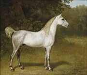 An Arab Stallion in a Landscape 1790 By Jacques-Laurent Agasse