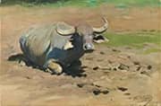 A Resting Buffalo By Wilhelm Kuhnert
