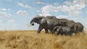 Elephants on the Migration By Wilhelm Kuhnert