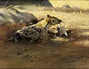 Hyena 1905 By Wilhelm Kuhnert