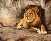 Lion at Rest By Wilhelm Kuhnert