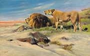 Lion Couple in the Steppe 1905 By Wilhelm Kuhnert