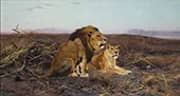 Lions in the Steppe By Wilhelm Kuhnert