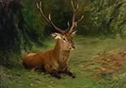 Resting Deer By Wilhelm Kuhnert
