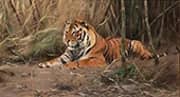 The Watchful Tiger By Wilhelm Kuhnert