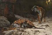 Tiger at a Watering Hole By Wilhelm Kuhnert