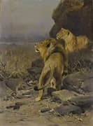 Two Lions at Watch c1917 By Wilhelm Kuhnert