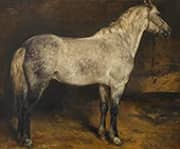 A Dapple Grey Horse By Rosa Bonheur
