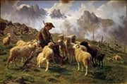 An Alpine Shepherd Giving Salt to His Sheep By Rosa Bonheur