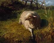 A Sheep at Rest By Rosa Bonheur