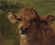 Head of a Calf 1878 By Rosa Bonheur