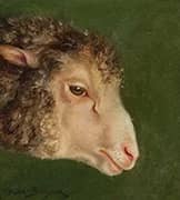 Head of an Ewe By Rosa Bonheur