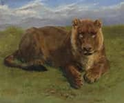 Lioness at Rest 1874 By Rosa Bonheur