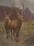 Monarchs of the Forest 1887 By Rosa Bonheur