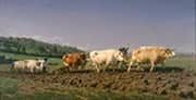 Ploughing in Nevers 1849 By Rosa Bonheur