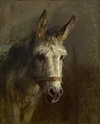 Portrait of a Donkey By Rosa Bonheur