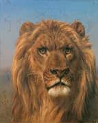 Portrait of a Lion 1879 By Rosa Bonheur