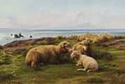 Sheep by the Sea 1865 By Rosa Bonheur