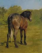 Bay Horse in a Sunny Meadow By Rosa Bonheur