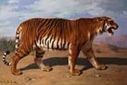 Stalking Tiger By Rosa Bonheur