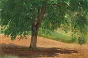 Study of Light and Shade By Rosa Bonheur