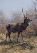 The Stag 1875 By Rosa Bonheur