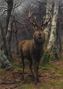 The King of the Forest 1878 By Rosa Bonheur