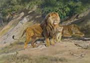 The King Watches 1887 By Rosa Bonheur