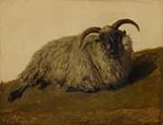 The Merino By Rosa Bonheur