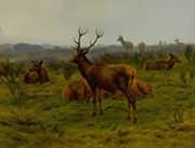 The Monarch of the Herd 1868 By Rosa Bonheur